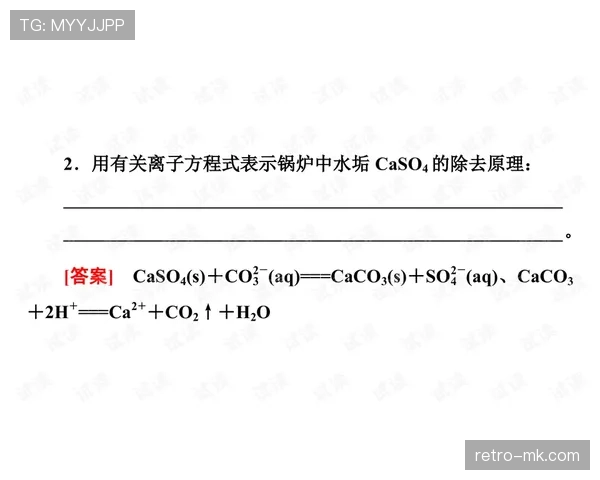 雷吉纳攻防平衡